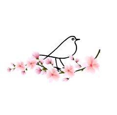 ひよ桜